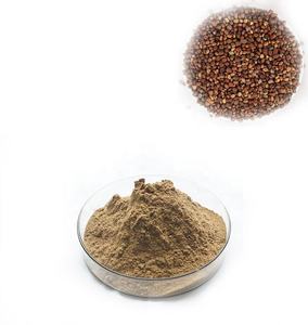 Puro Perilla foglia estratto in polvere per integratori alimentari e applicazioni alimentari funzionali con qualità garantita - Product Image 2