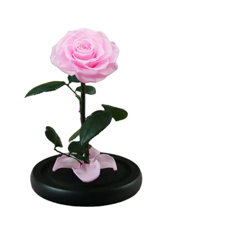 Rose Box Luxus konservierte Rosen Blume neue Produkte für Hochzeits dekoration