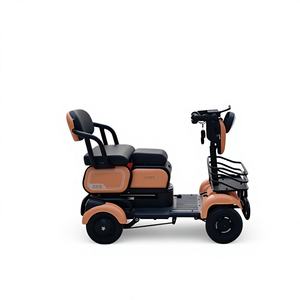 Tricycle électrique à une vitesse 48V personnalisé par le fabricant pour adultes, tricycle à pédales pour passagers - Product Image 1