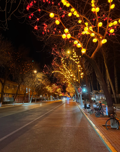 Luces decorativas LED Persimmon con clasificación IP65 para jardines exteriores con un brillo cálido y brillante, decoración navideña - Product Image 1