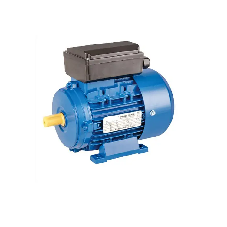 2800Rpm 120V Monofase 220V 500 Watt1.1Kw 2.2Kw 3Kw 1.5 Kw 1/4 1/2 1 1.5 2 Hp 1.5Hp 2Hp 3Hp Ac motore Elettrico