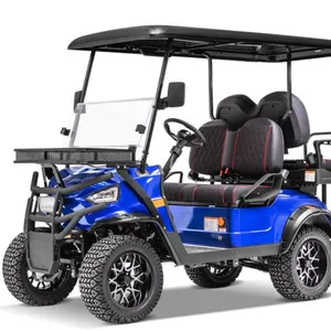 Voiture de tourisme buggy chasser chariot golf buggies chariot golf buggy électrique