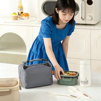 Tragbare Lunchbox-Tasche, Isolierte Brotdose mit Verstärkter Aluminiumfolie, Wasserdichte Isoliertasche für Picknicks im Freien