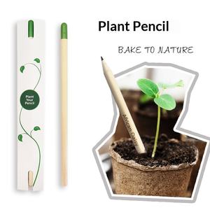 Capsule végétale créative en bois vert avec graines, personnalisable avec logo, pour plantation et germination - Product Image 2