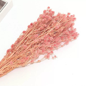 <span class=keywords><strong>Flor</strong></span> Seca Decorativa al por Mayor, <span class=keywords><strong>Flor</strong></span> de Ajenjo Marino Ensilada para Arreglos Florales y Decoraciones de Boda - Product Image 3