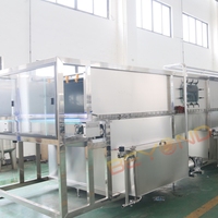 Pasteurisateur automatique de boissons RTD en tunnel |   Chauffage, maintien au chaud et refroidissement multi-étapes pour le thé, le café, le lait