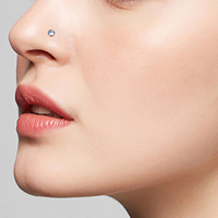 Acier inoxydable chirurgical 316L 20G goujons de nez Style de base forme Segment anneaux Zircon cubique mode corps Piercing bijoux