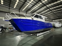 Bateaux de pêche en haute mer en aluminium à double coque Gospel Boats 2026 de 10 à 12 m à vendre