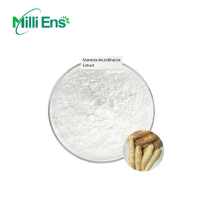 공장 가격 식품 등급 100% 천연 애로우 뿌리 분말 화살 뿌리 분말 Maranta Arundinacea 추출물 - Product Image 2