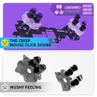 Kit de boutons de souris et micro-interrupteurs à déclenchement rapide (version légère) pour manette PS5 BDM-040/050/060