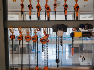 TOYO Üretici 1.5M 3M 0.25 Ton 0.5 Ton 1 Ton Küçük El Zincirli Vinç <span class=keywords><strong>Mini</strong></span> Manuel Zincirli Kaldırma Cihazı - Product Image 6