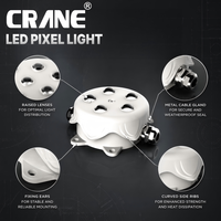 Projecteur LED Pixel Haute Puissance 5W OEM ODM IP66 Extérieur DMX512 RGBW Grand Faisceau Lumineux pour Architectures, Théâtres et Ponts