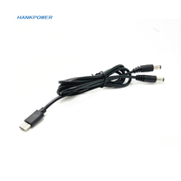 Connecteur mâle de Type C vers double DC5.5 * 2.1mm prise mâle Charge rapide 1 à 2 USB C PD DC câble d'alimentation