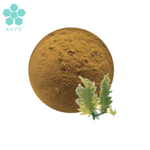 कारखाने की आपूर्ति पानी में घुलनशील एस्कोफिलुम नोदोसम पाउडर एस्कोफिलम नोदोसम सेवीड अर्क पाउडर - Product Image 2