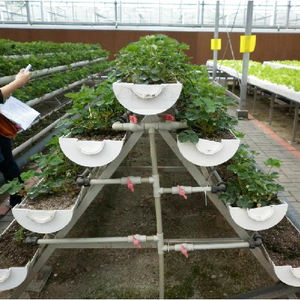 Hyroponisches Anbaus ystem des Gewächshaus turms Aquapo nische Hydro ponik systeme für den Innen-und Außenbereich - Product Image 4