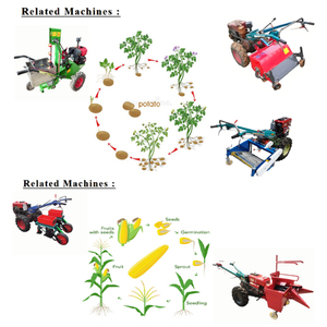 New Design Commercial Agriculture Tractores Hand Push <b>Walk</b> Behind Tractor Manufacturer Made in China - Product Image 2