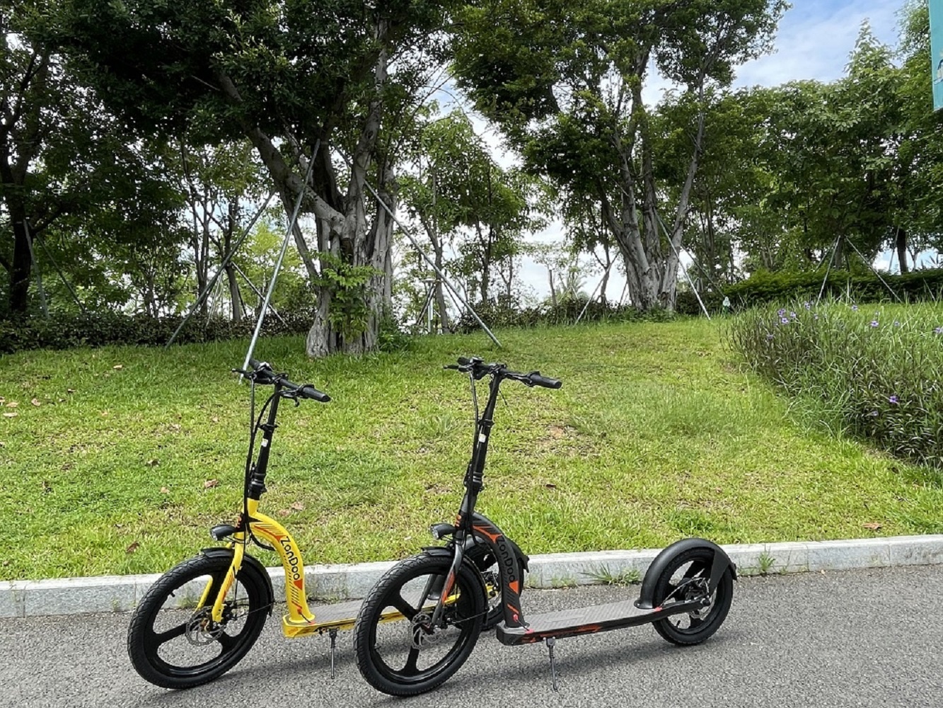 wholesale 中国厂家直销20英寸胖轮胎电动自行车baterie 36 v 10 ah