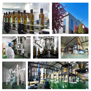 שמן זרעי אשחר ים - עשיר בחומצות שומן אומגה 3 6 9 - Product Image 3