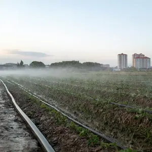 農業灌漑に使用される中国工場白色高圧編組レイフラットホース