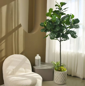 Albero di Ficus Lyrata Artificiale di Alta Qualità in Plastica, 120-180CM, Altamente Realistico, Resistente ai Raggi UV, Ecologico, per Decorazioni Interne ed Esterne - Product Image 6