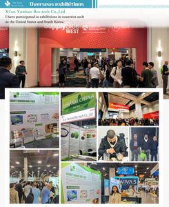 ヘルスケアグレードクズ根エキス粉末10:1天然最高品質<span class=keywords><strong>Pueraria</strong></span> Mirificaエキスイソフラボン40%-98% プエラリン - Product Image 5