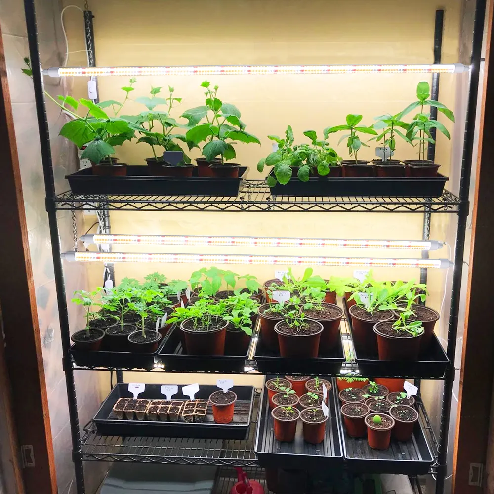 T8 светодиодный светильник для выращивания растений