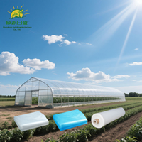 Film de couverture de serre personnalisé 150-200 microns résistant aux UV pour ferme de légumes