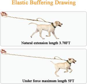 Tali anjing taktis besar, tali traksi mewah <span class=keywords><strong>Bungee</strong></span> dua pegangan tahan ledakan reflektif elastis nilon poliester untuk luar ruangan - Product Image 4