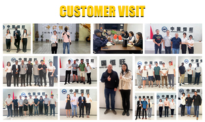 Grúa Araña Hengwang con Altura de Elevación de 10m, 16m, 19m, Capacidad de Elevación de 3T, 5 Toneladas, 8 Toneladas, 10 Toneladas, Certificación CE - Product Image 6