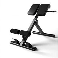 Chaise romaine pliable, banc d'hyperextension, machine d'extension dorsale réglable, équipement multifonctionnel pour entraînement abdominal et musculation à domicile