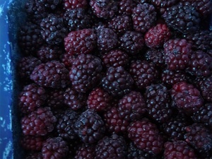 Migliore Qualità, Cartone da 10 kg, Mora Cinese Congelata Sana e Certificata HACCP per Lavorazione Alimentare - Product Image 2