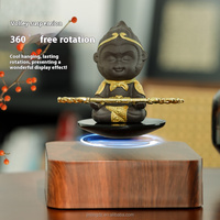 Noyau fruits noirs lévitation magnétique 500g grand pendule de lévitation porteur bricolage Module de lévitation magnétique