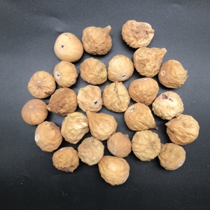MD32 Wholesale Bulk Sweet Preserved Dried Whole <strong>Fig</strong> and Sliced Fruits Tea Dried <strong>Figs</strong> <strong>Dry</strong> Fruits - Product Image 1