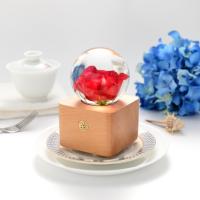Lovebay Nouveautés Coffret Cadeau Original Unique avec Véritable Fleur Stabilisée, Lampe de Nuit LED Portable à Chargement USB et Enceinte