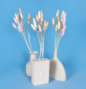 Fourniture d'usine Prix attractif Queue de Lapin Herbe Bundle Artificielle Diverses Couleurs <span class=keywords><strong>Lagurus</strong></span> Ovatus Queue de Lapin Herbe - Product Image 3
