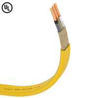 Kabel Bangunan Tembaga American Standard 12/2 12/3 10/3 10/2 Awg UL719 NM-B 14/2 12/2 Bersertifikasi UL USA Kabel Listrik NM-B