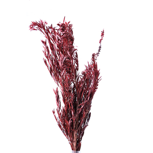 ดอกไม้แห้งประดับ<span class=keywords><strong>พระ</strong></span>พุทธรูป <span class=keywords><strong>ช่อ</strong></span>ดอกไม้แห้งทำมือ ของตกแต่งบ้าน วัสดุ DIY สำหรับวันวาเลนไทน์ วันคริสต์มาส ใช้งานได้ยาวนาน - Product Image 6