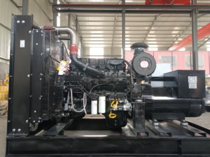 Generador Diésel Trifásico Silencioso de 320kw 400 Kva Cummins con Control Remoto, Operación Ecológica, Lista de Precios - Product Image 4