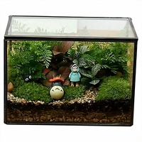 Miniature terrarium de forêt tropicale, boîte de micro-paysage en verre, bonsaï, mousse, micro-paysage forestier, conteneur écologique pour bureau
