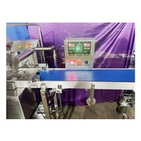 Nouvel arrivage de machine à enrober le chocolat multifonction pour la crème glacée pour le revêtement des biscuits