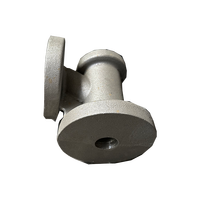 Revêtement anticorrosion en fonte/fer ductile/acier inoxydable certifié ISO9001 de la marque Hailong, le plus vendu par la fonderie chinoise OEM
