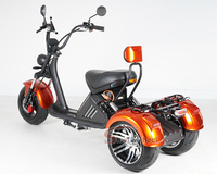 Citycoco 3 tekerlekler Citycoco 2000w Citycoco kıyıcı 60V 40AH pil elektrikli Scooter 3 tekerlekli üç tekerlekli bisiklet