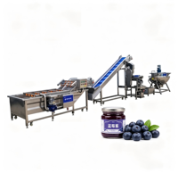 Turnkey-oplossing voor de productie van fruitjam: kook-, meng-, vul- en verzegellijn met touchscreen PLC-besturing voor fabrieken