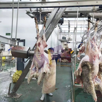 Machine de qualité pour ligne d'abattage de moutons, équipement d'abattoir pour chèvres et agneaux, matériel de boucherie, traitement du mouton