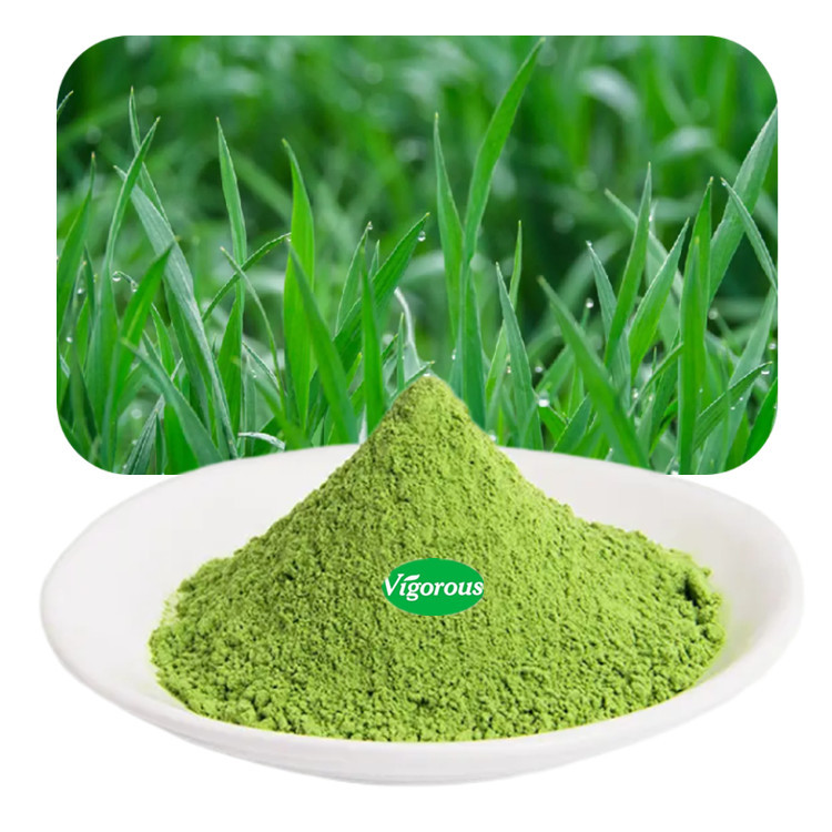 Natural High Quality Barley Grass Powder