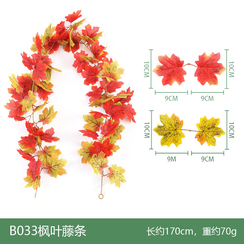 B033 Vigne d'érable