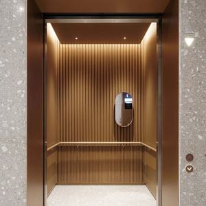 Ascensor de Pasajeros Moderno de Acero de 2, 3 y 4 Pisos, Elevador Hidráulico Seguro para Casa, Villa, Hotel y Uso Residencial - Product Image 1