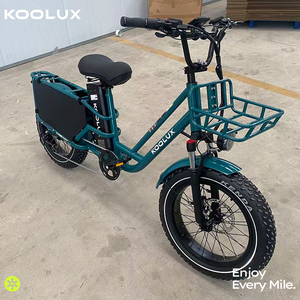 EU Warehouse 20x4 Inch Fat Tire Cargo <b>Ebike</b> 250W <b>48V</b> 25Ah 90-110KM Food Delivery Electric Bike 24H Dispatch Wholesale Supplier - Product Image 1