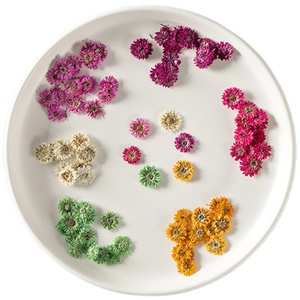 Natürliche echte getrocknete gepresste Blumen Blätter bunt gepresste Anaphalis Sinica DIY Kerzen dekoration Harz Schmuck Anhänger - Product Image 1