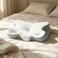 Oreiller ergonomique en mousse à mémoire de forme, soutien cervical, oreiller respirant pour un sommeil confortable pour les dormeurs sur le côté, le dos et le ventre